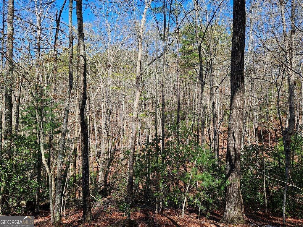5.20 Deer Crest Road Property Photo 48