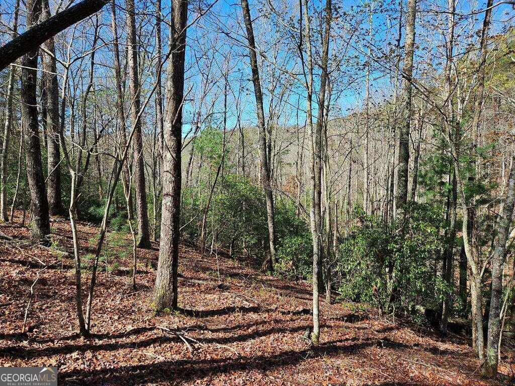 5.20 Deer Crest Road Property Photo 49