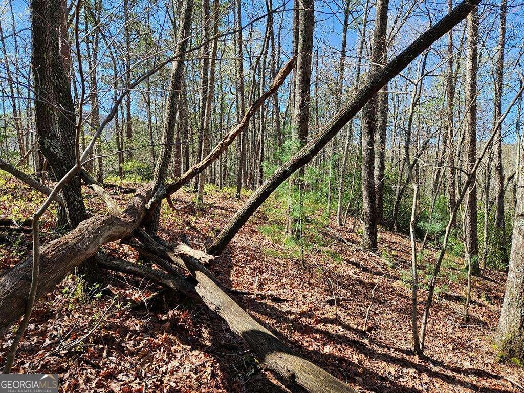 5.20 Deer Crest Road Property Photo 50