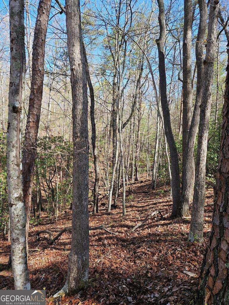 5.20 Deer Crest Road Property Photo 51
