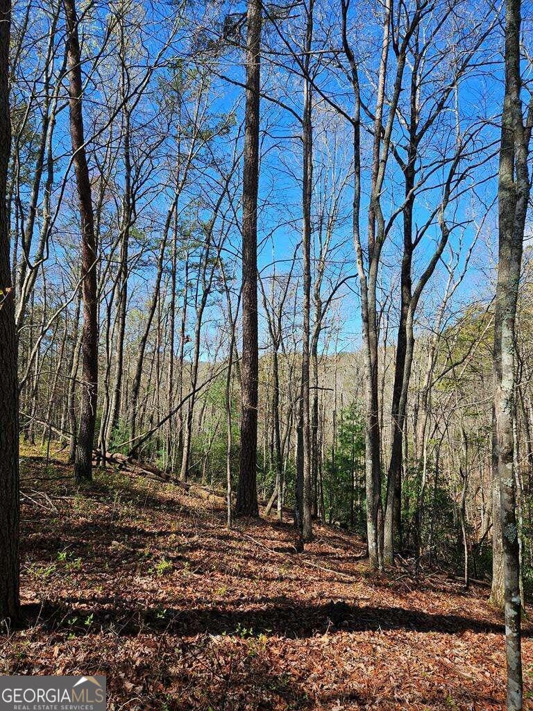 5.20 Deer Crest Road Property Photo 52