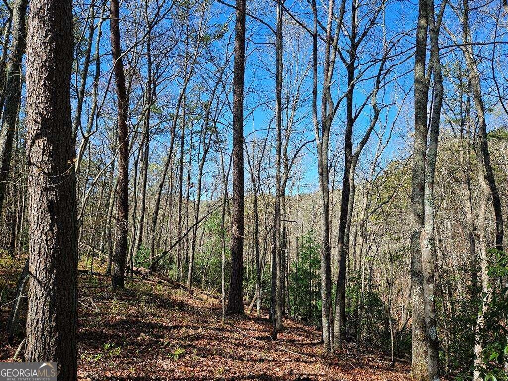 5.20 Deer Crest Road Property Photo 53