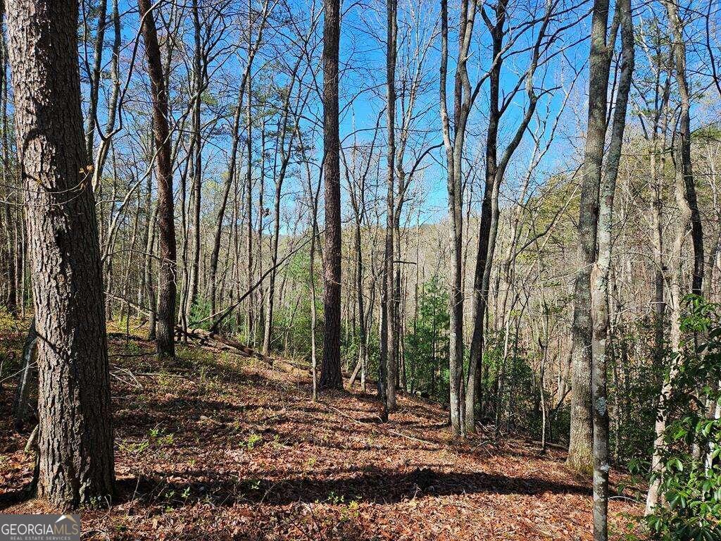 5.20 Deer Crest Road Property Photo 54