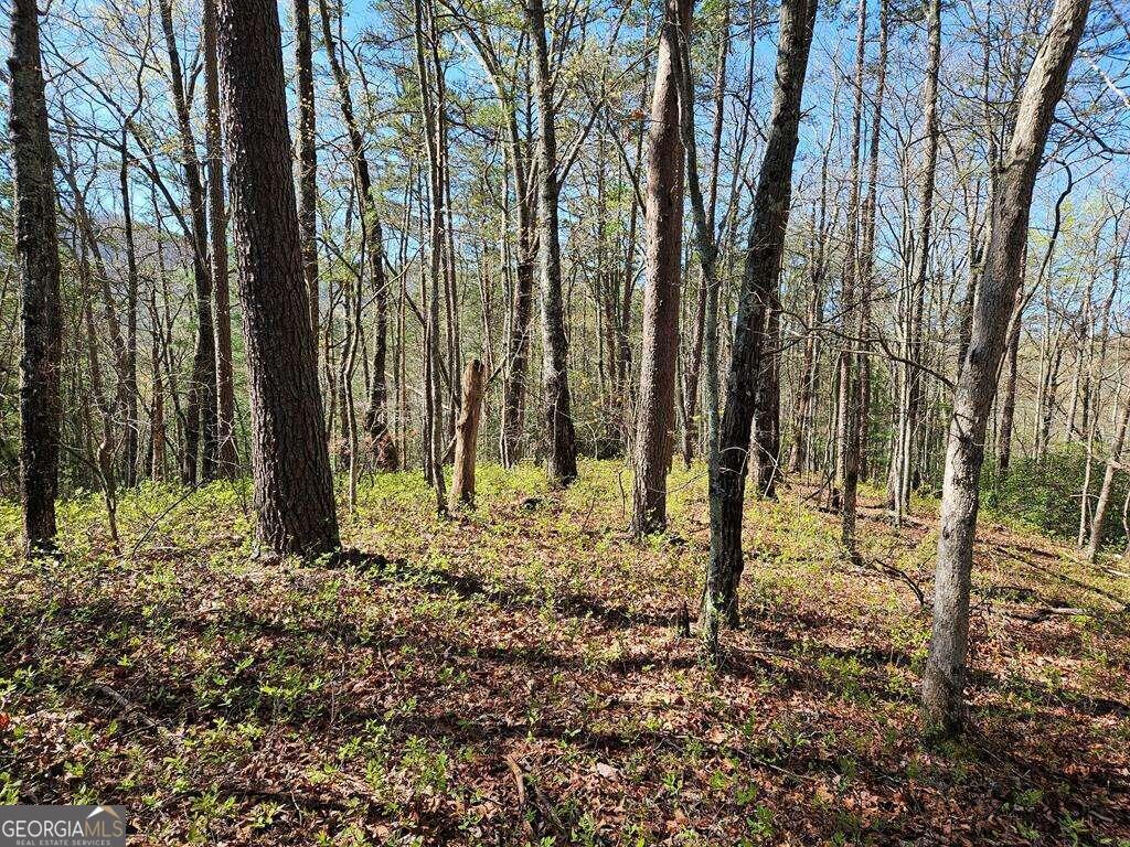 5.20 Deer Crest Road Property Photo 55