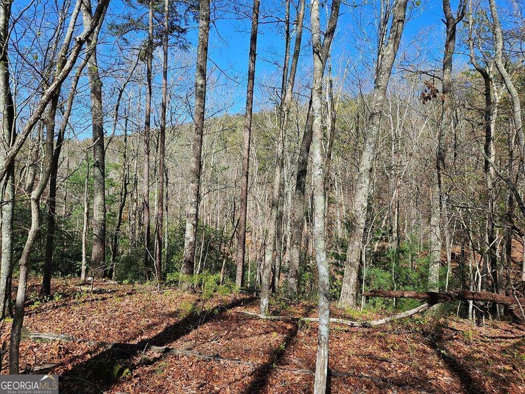 5.20 Deer Crest Road Property Photo 56