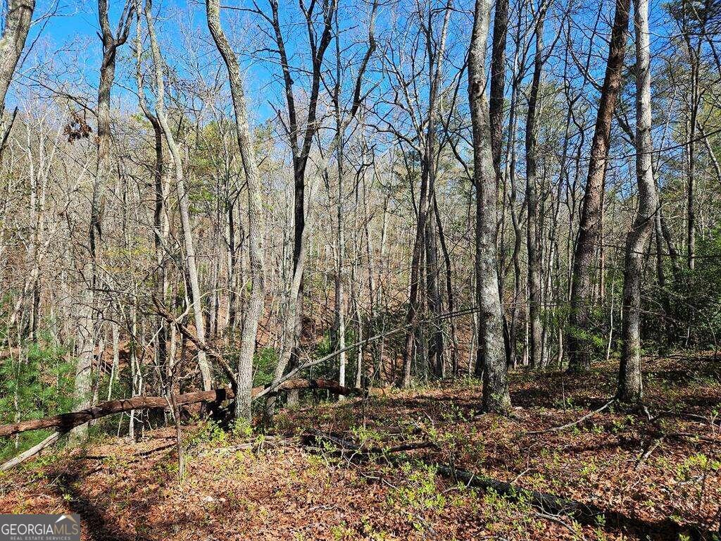 5.20 Deer Crest Road Property Photo 57