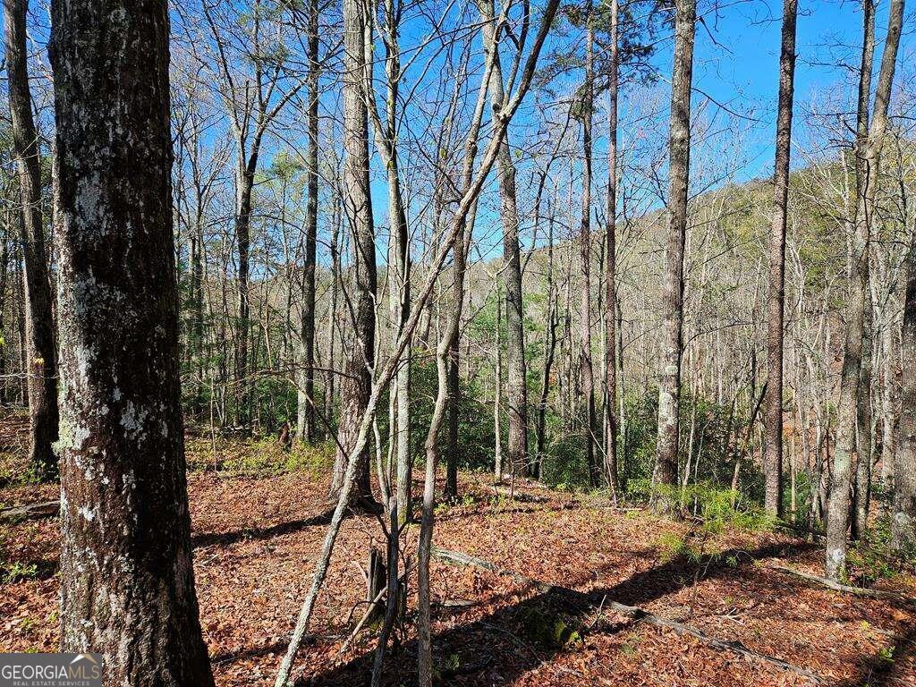 5.20 Deer Crest Road Property Photo 58