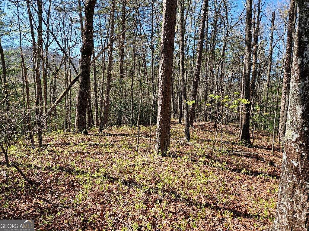 5.20 Deer Crest Road Property Photo 59