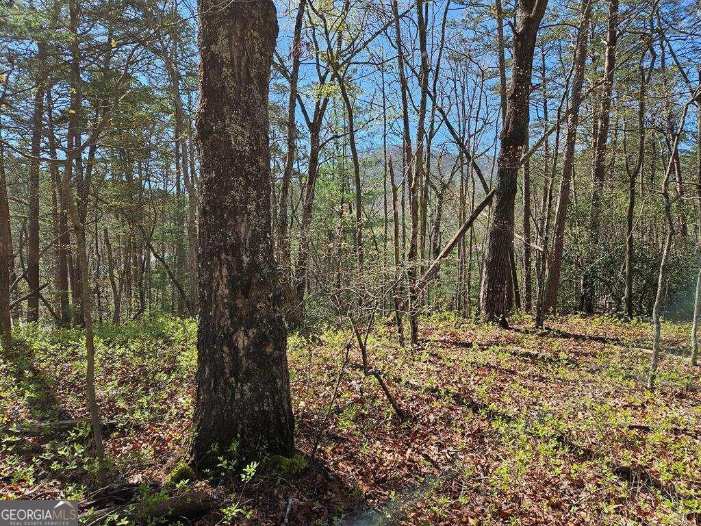 5.20 Deer Crest Road Property Photo 60
