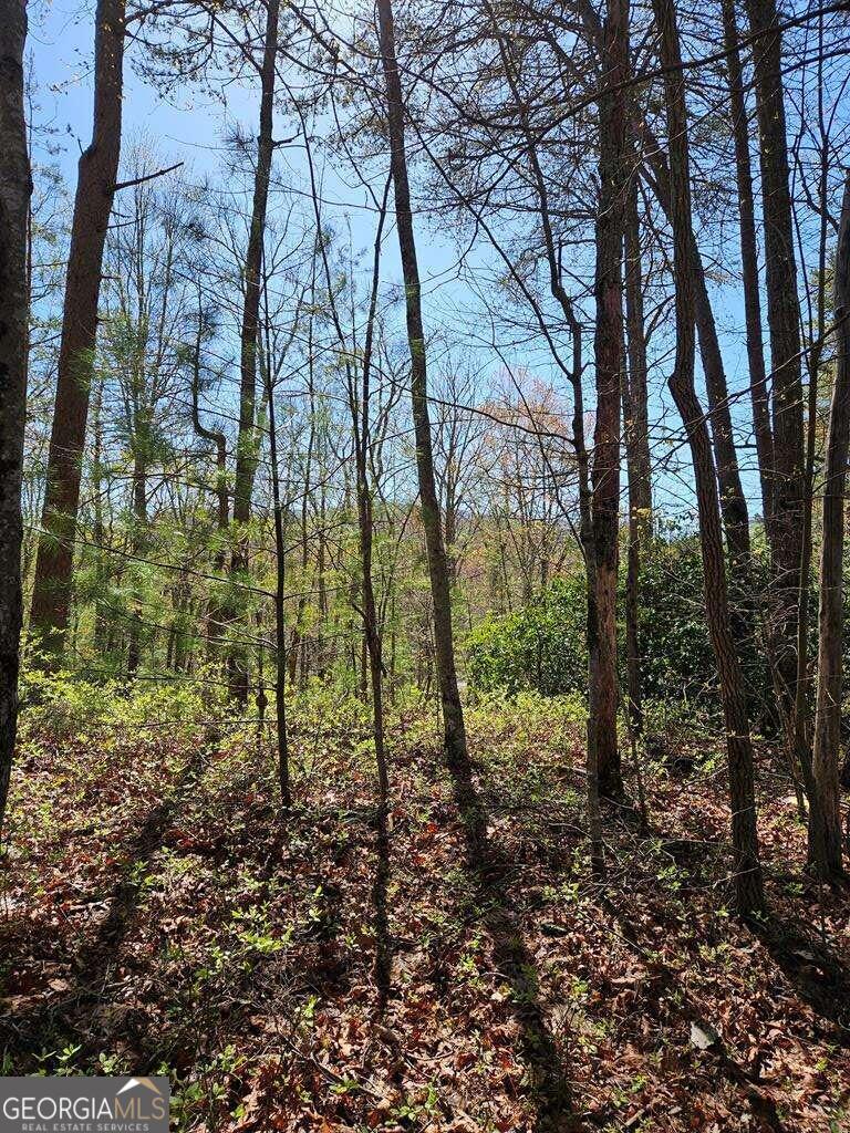 5.20 Deer Crest Road Property Photo 61