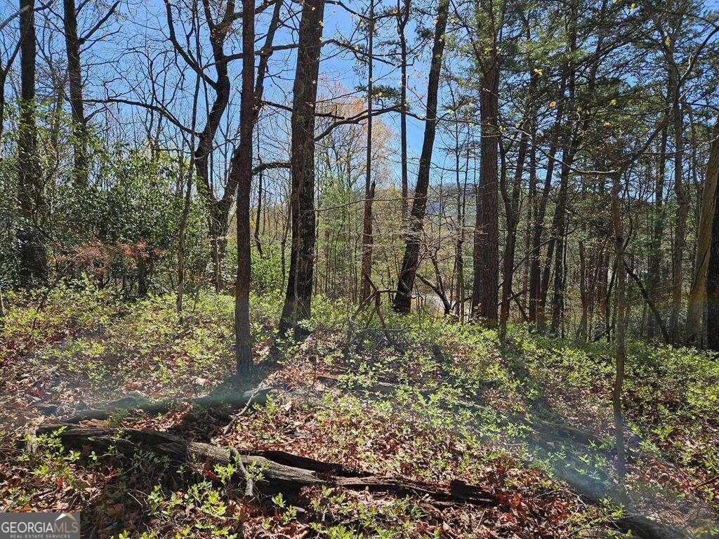5.20 Deer Crest Road Property Photo 62