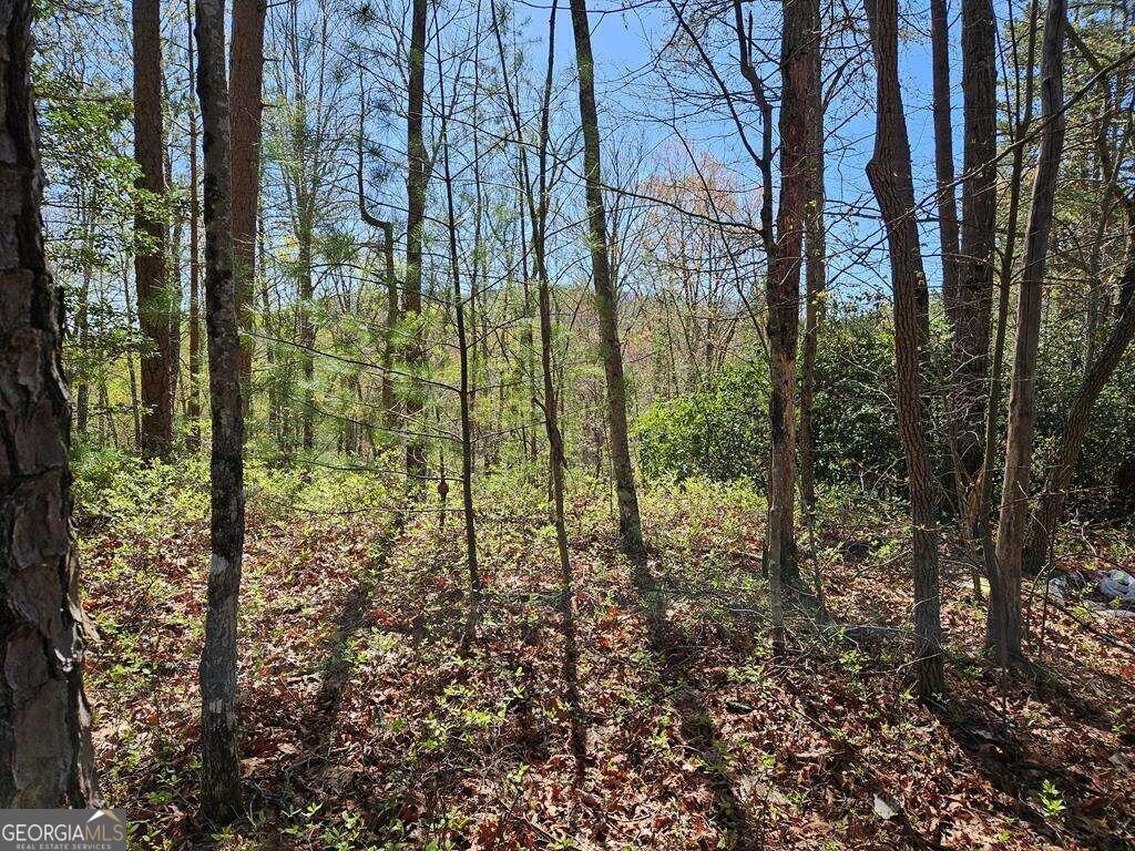5.20 Deer Crest Road Property Photo 63