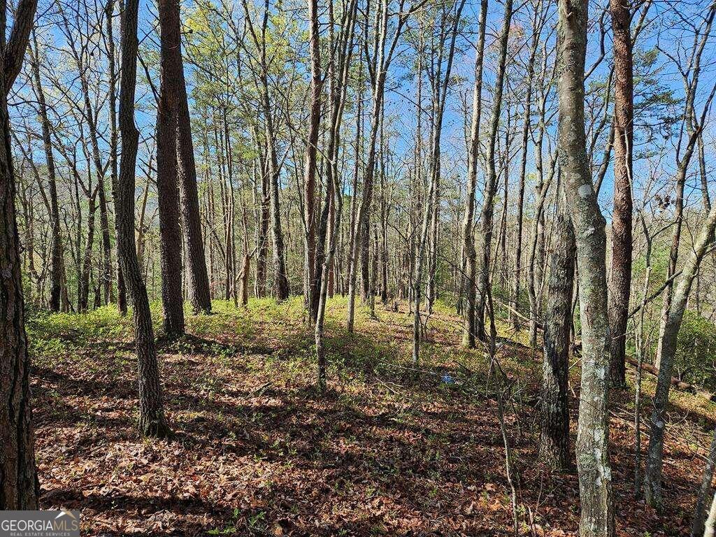 5.20 Deer Crest Road Property Photo 64