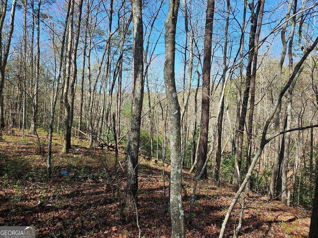 5.20 Deer Crest Road Property Photo 65