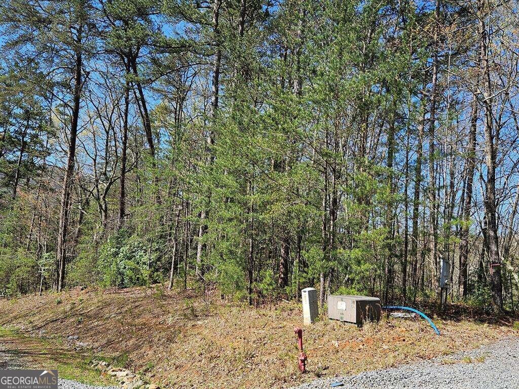 5.20 Deer Crest Road Property Photo 66