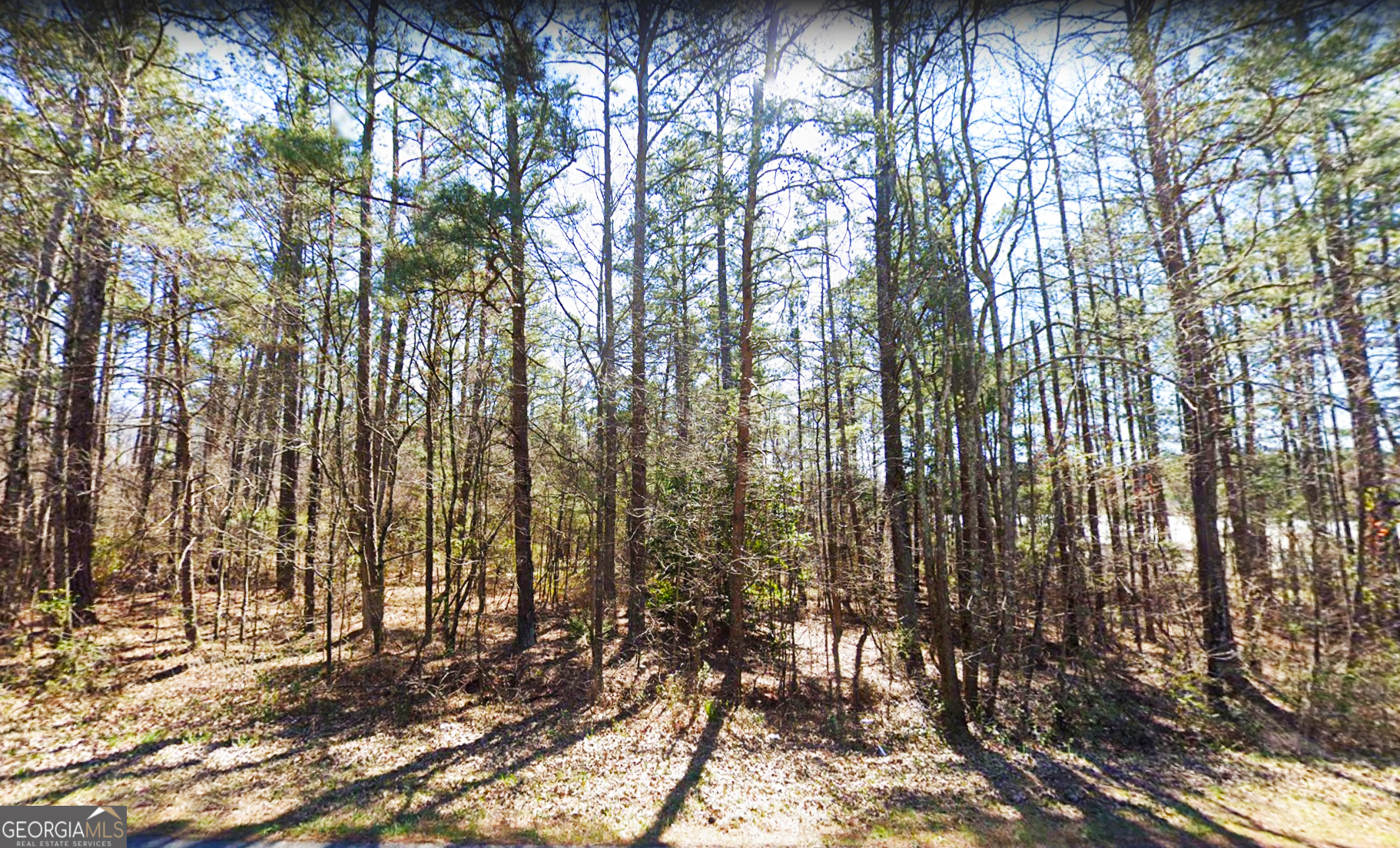7606 Nebo Road Property Photo 3
