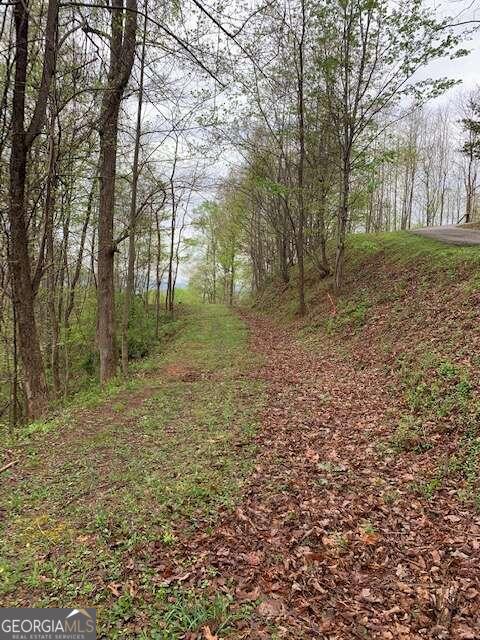 Lt 10 High Meadows Property Photo 2