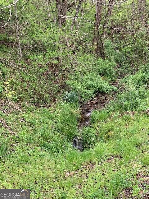 Lt 10 High Meadows Property Photo 3