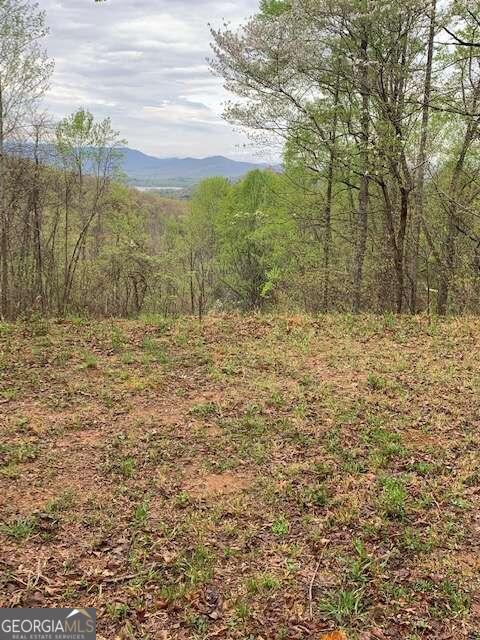 Lt 10 High Meadows Property Photo 4