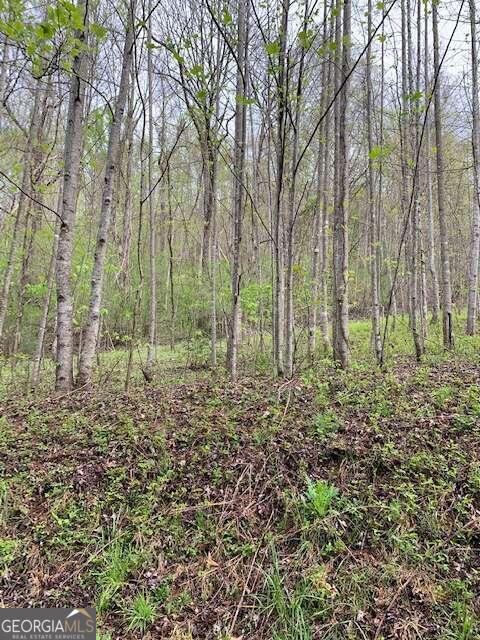 Lt 10 High Meadows Property Photo 5
