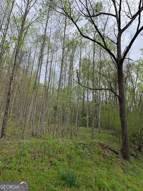Lt 10 High Meadows Property Photo 6