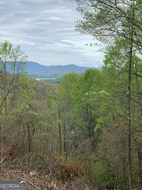 Lt 10 High Meadows Property Photo 7