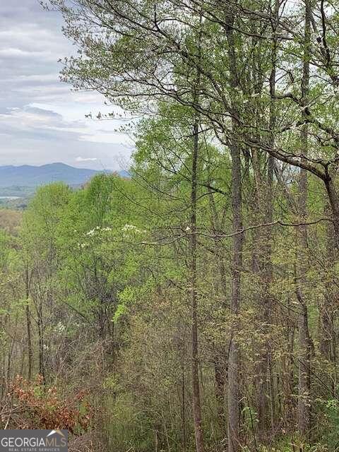 Lt 10 High Meadows Property Photo 8