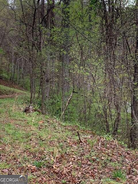 Lt 10 High Meadows Property Photo 9