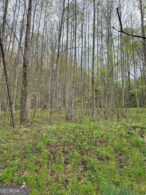 Lt 10 High Meadows Property Photo 10