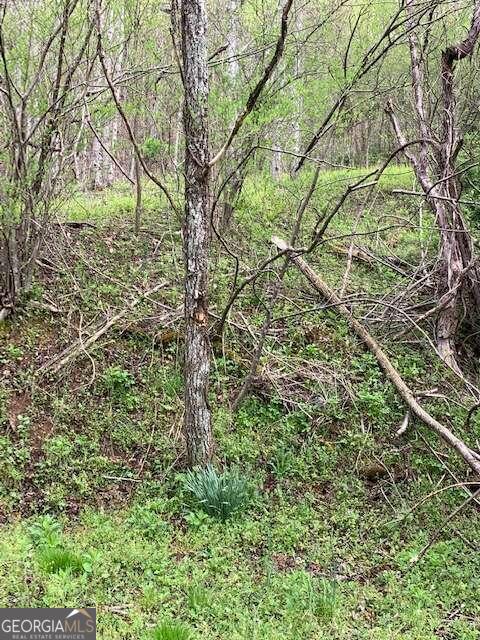 Lt 10 High Meadows Property Photo 11