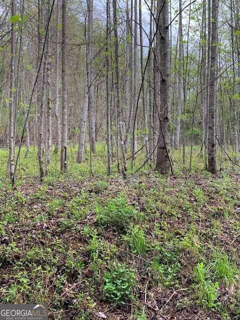 Lt 10 High Meadows Property Photo 12