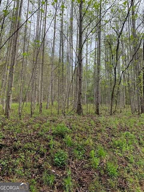 Lt 10 High Meadows Property Photo 13