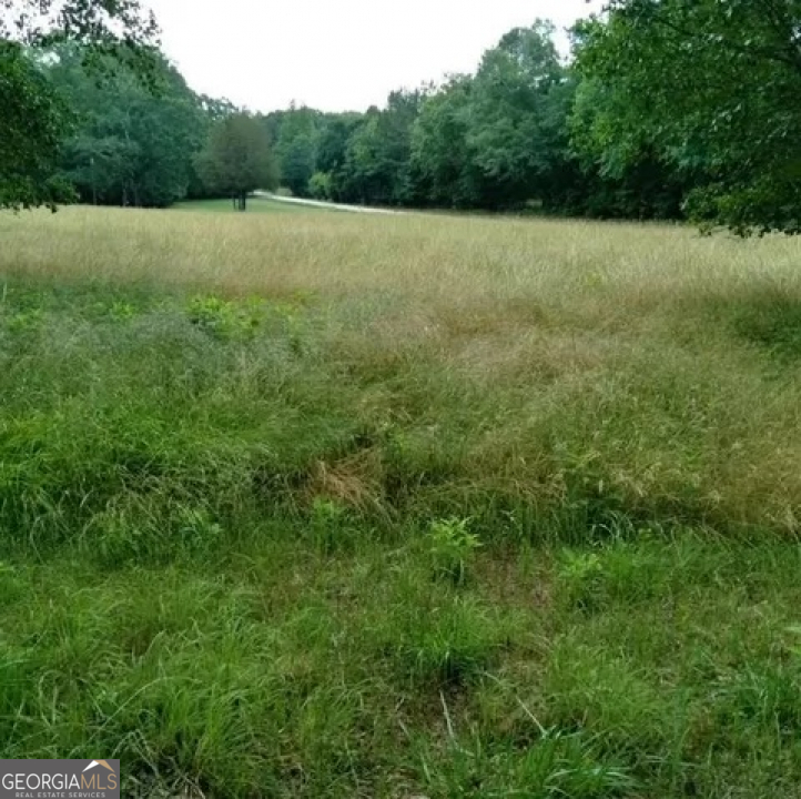 670 Cedar Grove Church Road Property Photo 26