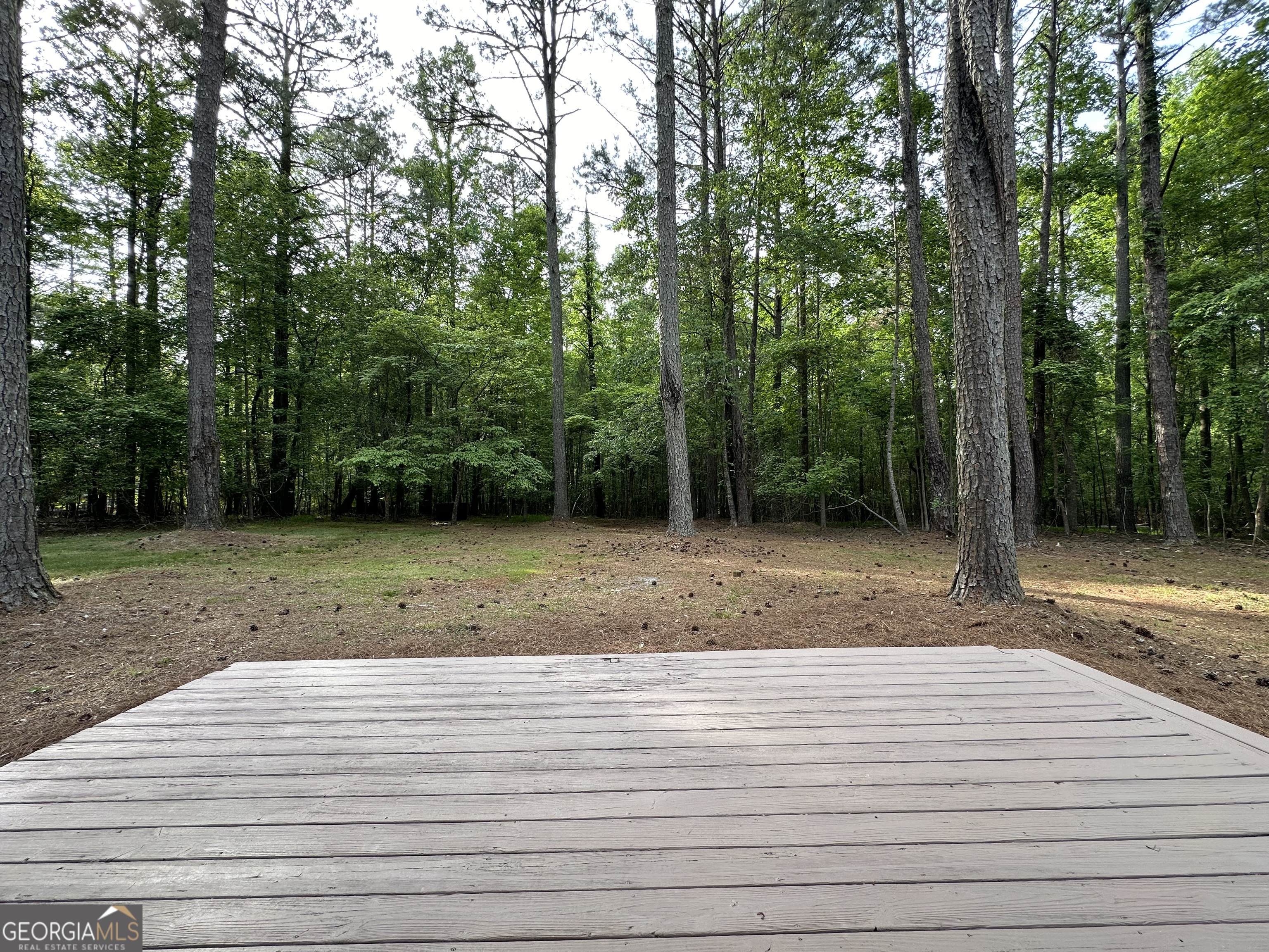 325 Lake Coweta Trail Property Photo 7