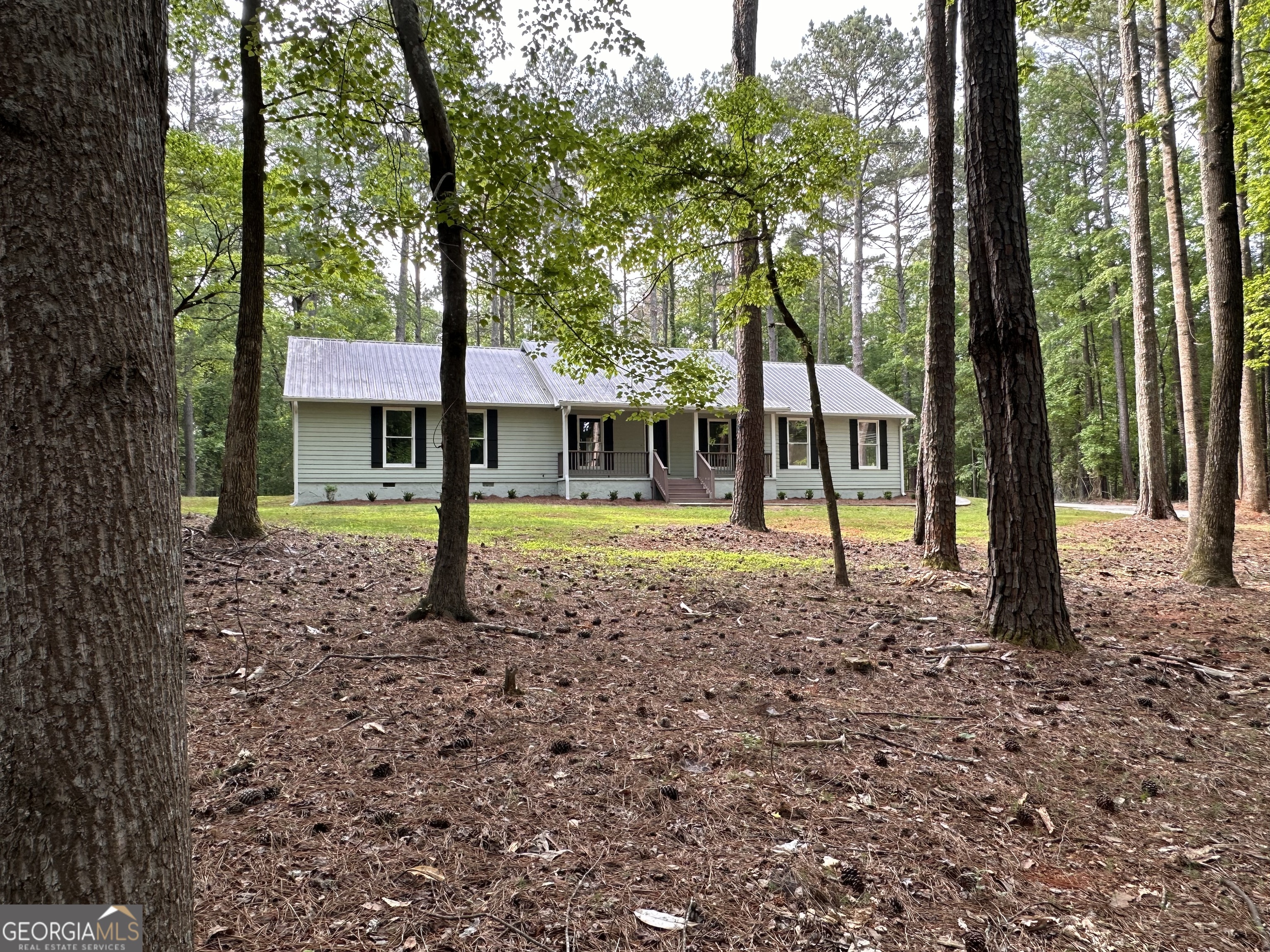 325 Lake Coweta Trail Property Photo 9