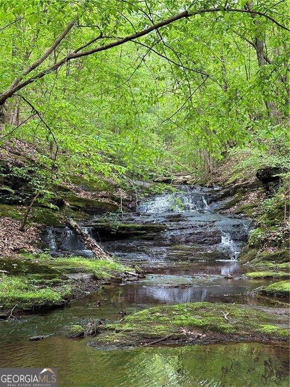0 Paris Mountain Road Property Photo 2