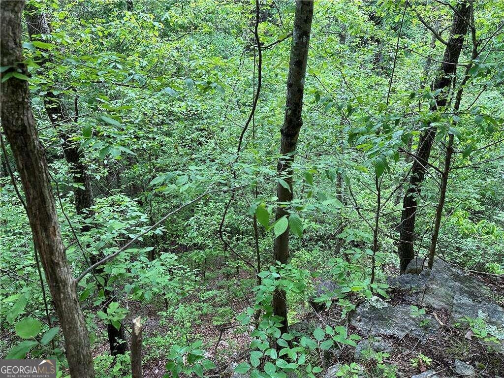 0 Paris Mountain Road Property Photo 3