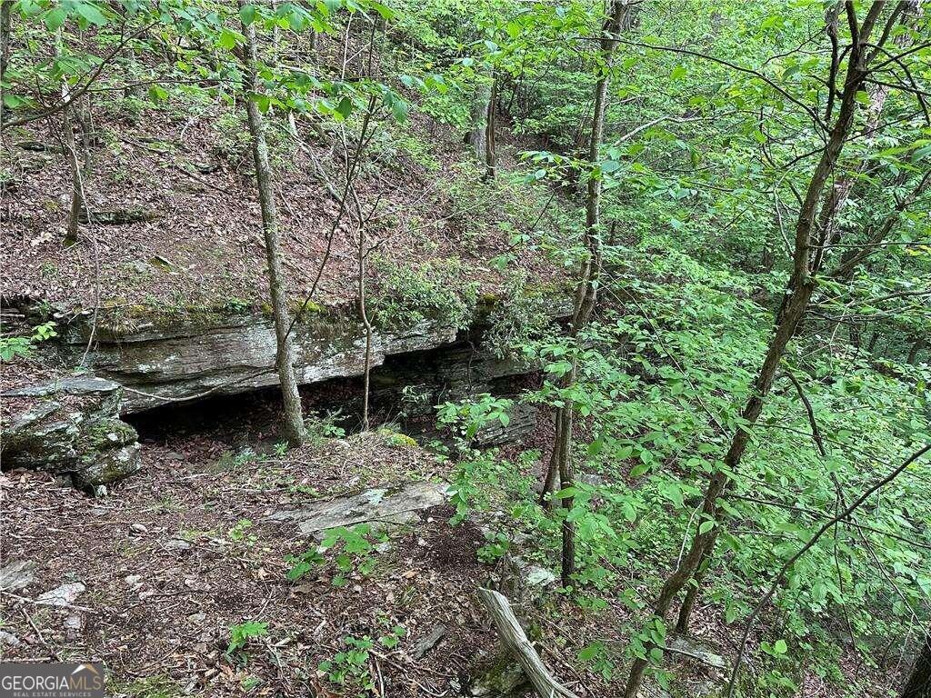 0 Paris Mountain Road Property Photo 4