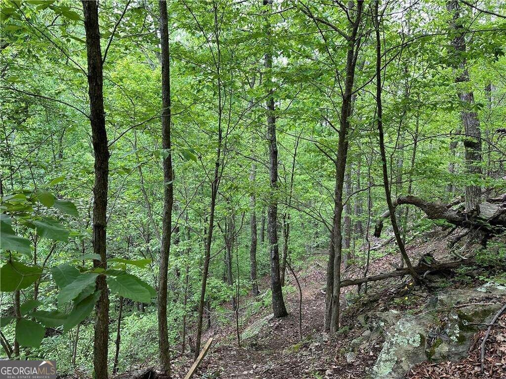 0 Paris Mountain Road Property Photo 5