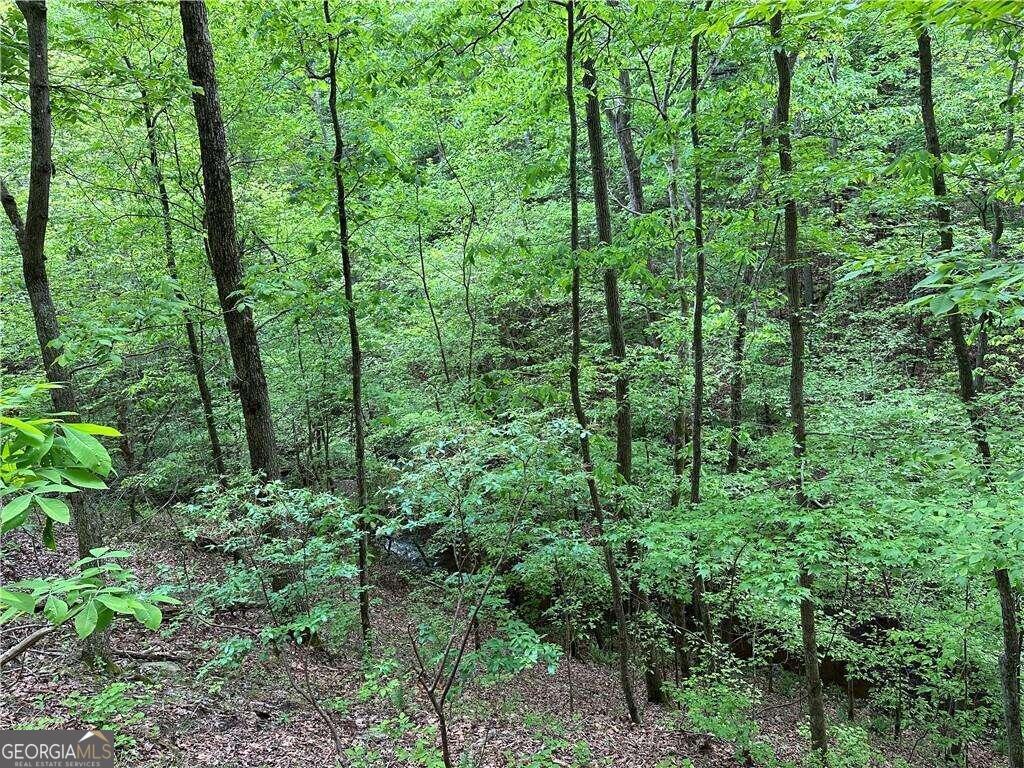 0 Paris Mountain Road Property Photo 6
