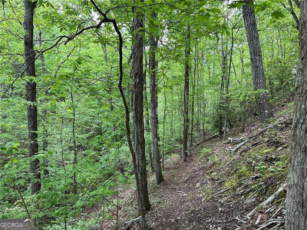 0 Paris Mountain Road Property Photo 7