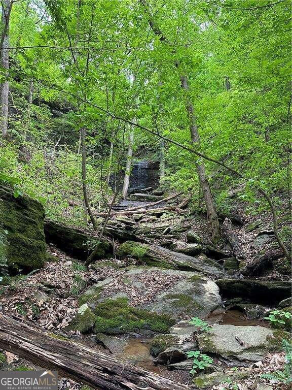 0 Paris Mountain Road Property Photo 8