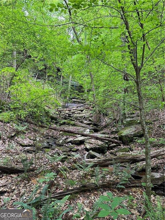 0 Paris Mountain Road Property Photo 9