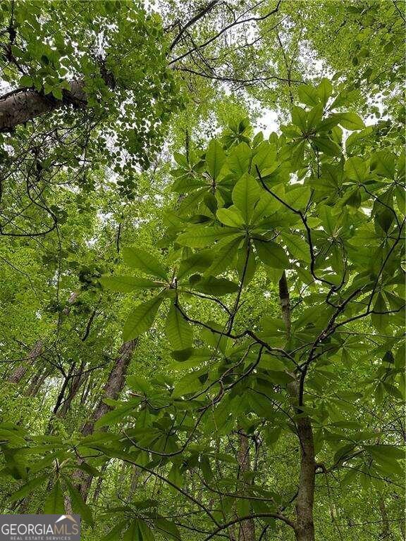 0 Paris Mountain Road Property Photo 10