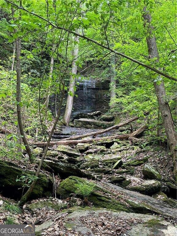 0 Paris Mountain Road Property Photo 12
