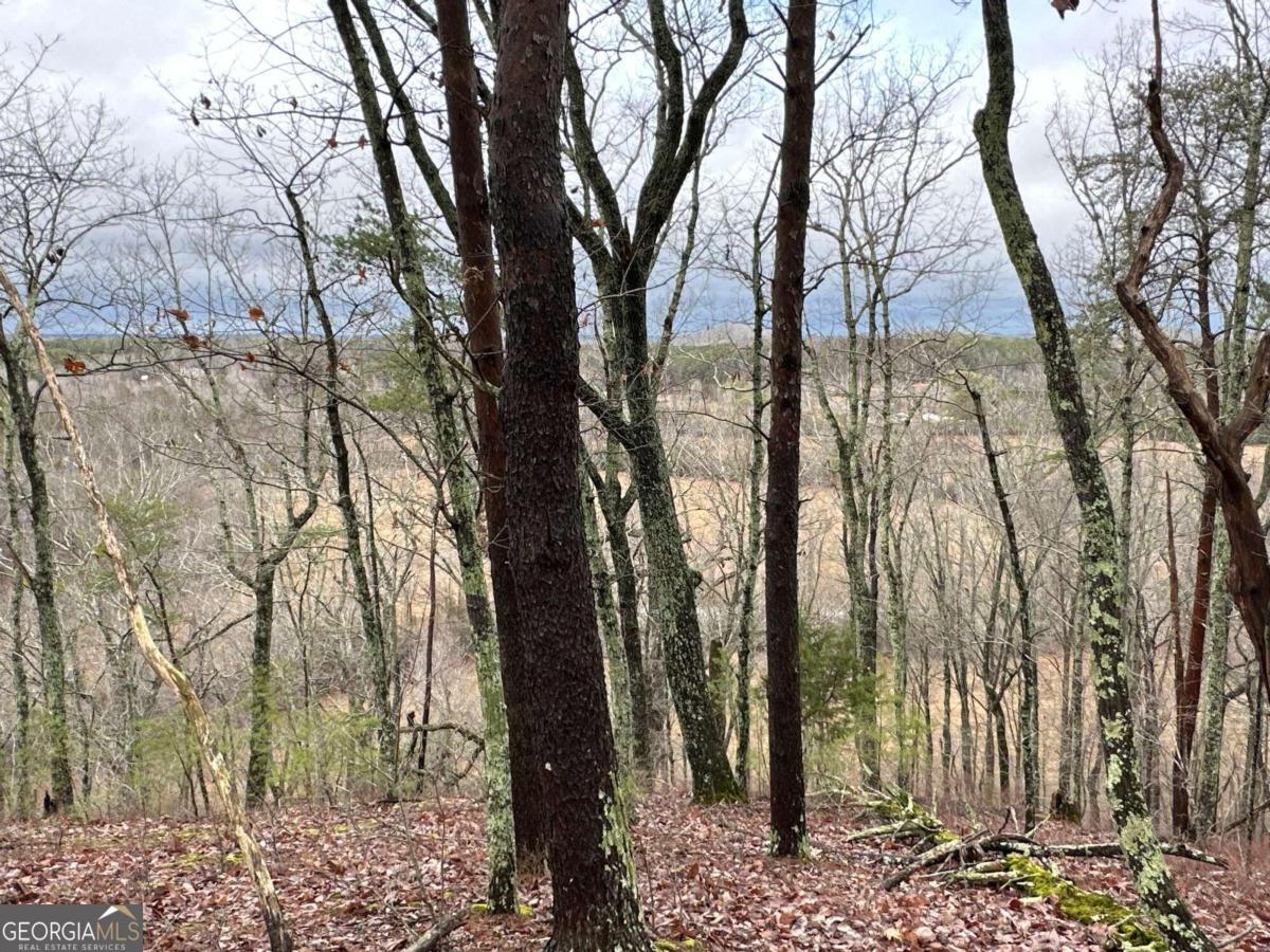 0 Paris Mountain Road Property Photo 13