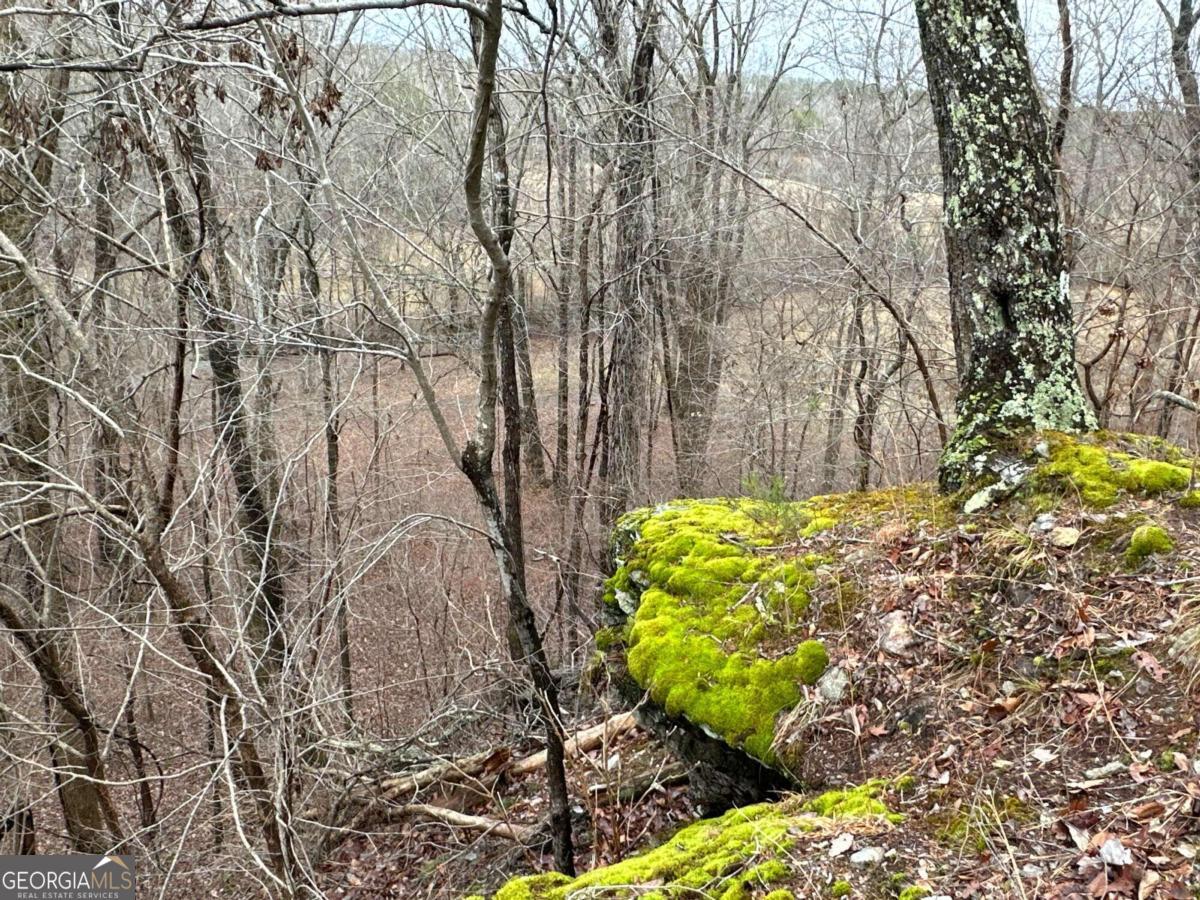 0 Paris Mountain Road Property Photo 14