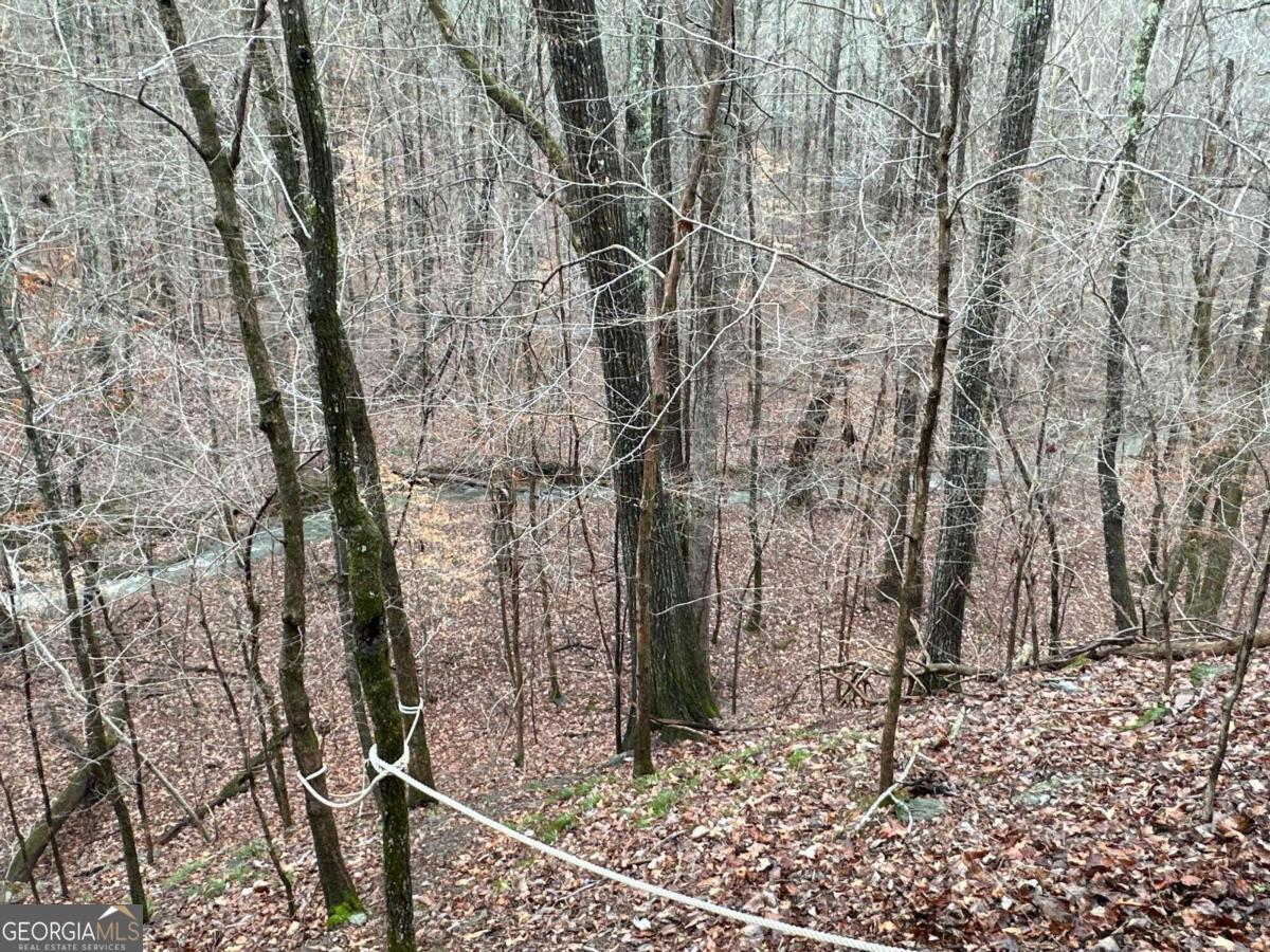 0 Paris Mountain Road Property Photo 15