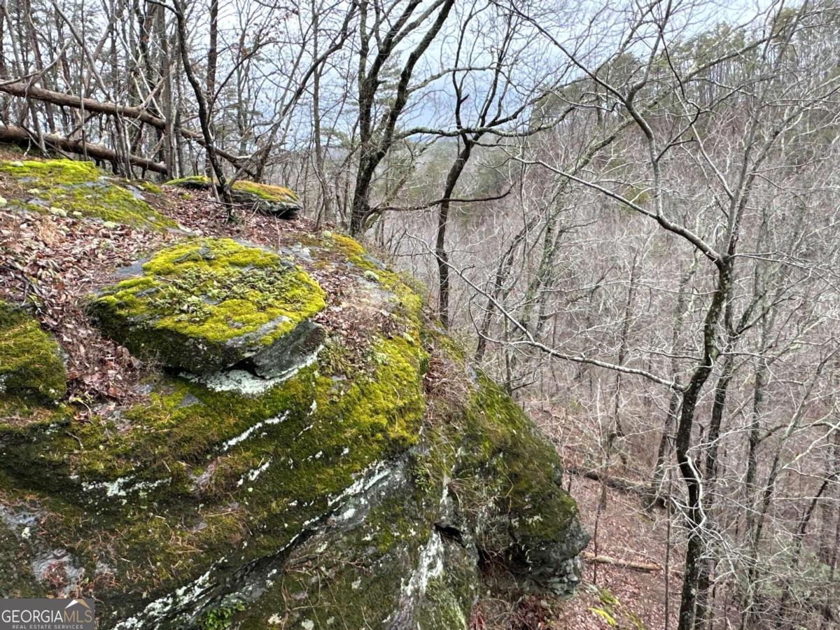 0 Paris Mountain Road Property Photo 16