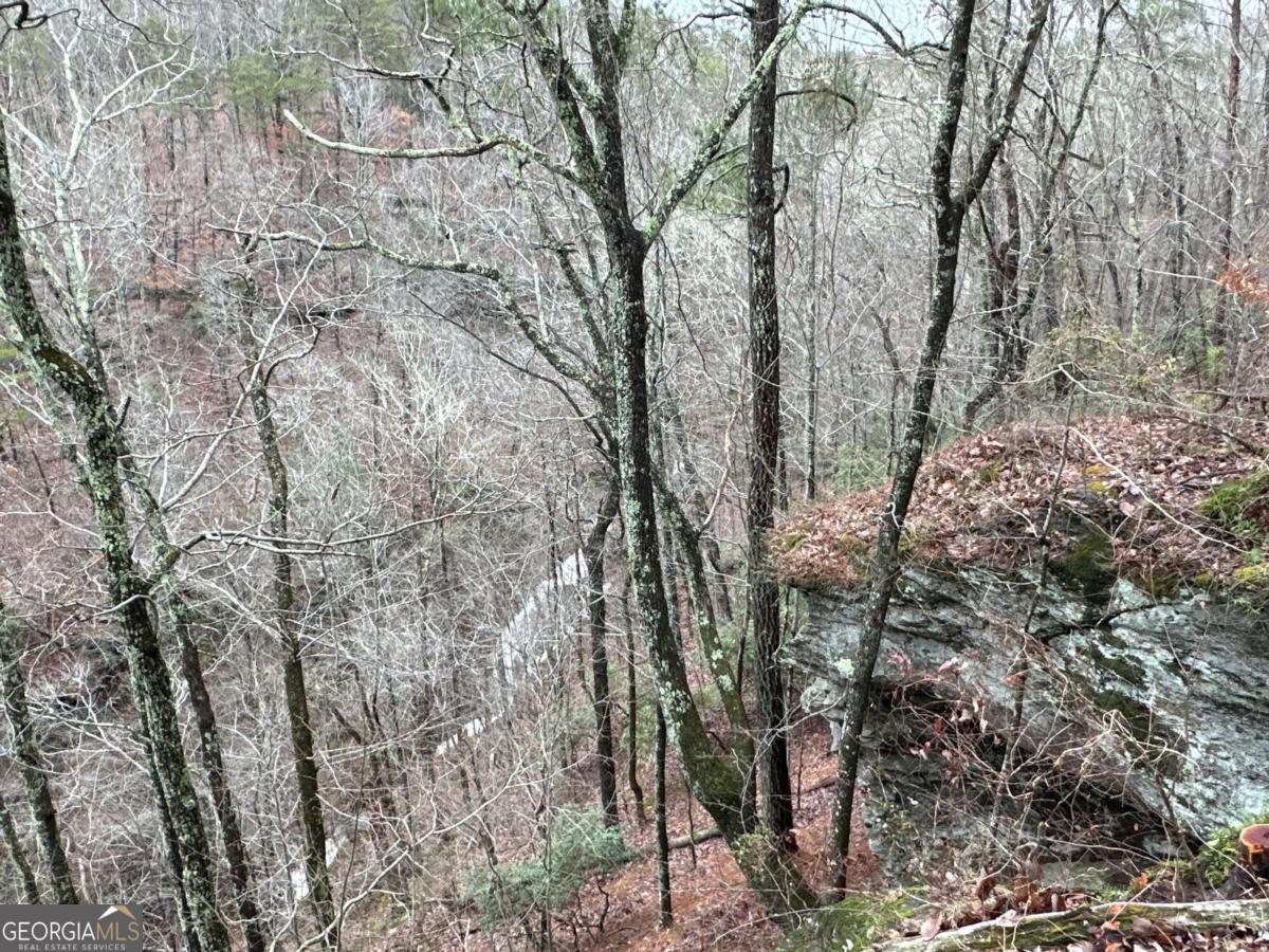 0 Paris Mountain Road Property Photo 17